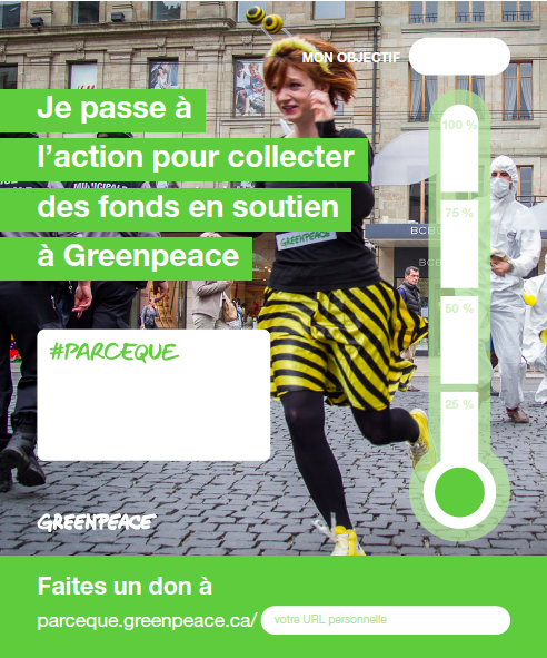 Fundraising Poster 1 French