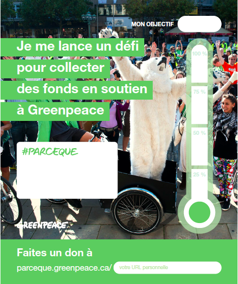 Fundraising Poster 5 French
